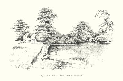 Étangs de Squerryes, Westerham - Duncan Moul