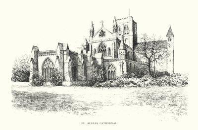 Cathédrale de St Albans - Duncan Moul