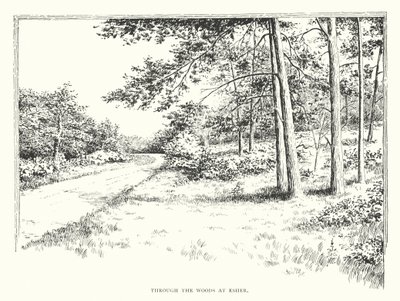 À travers les bois à Esher - Duncan Moul