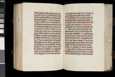 MS McClean 92, f.132v - f.133r, du Livre d