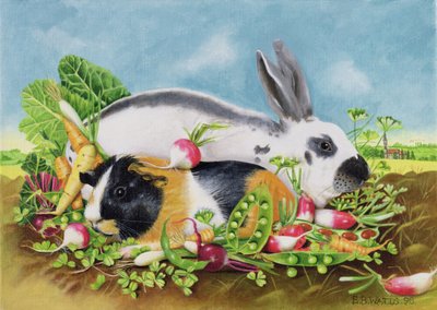 Lapin et cochon d