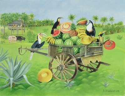 Toucans et pastèques dans un vieux chariot thaïlandais, 2004 - E.B. Watts