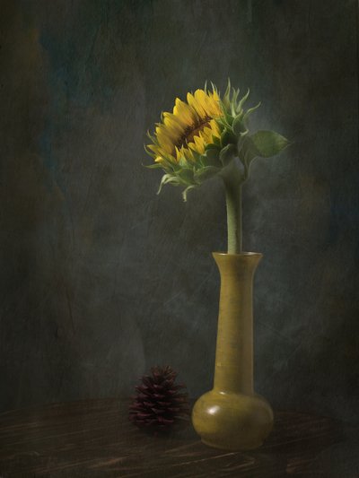  - EDUARDO LLERANDI