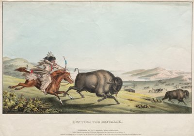 Chasse au bison, 1837 - E. C. Biddle