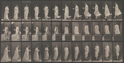Locomotion animale. Une enquête électro-photographique... des mouvements des animaux. Commence..., années 1880 - Eadweard Muybridge