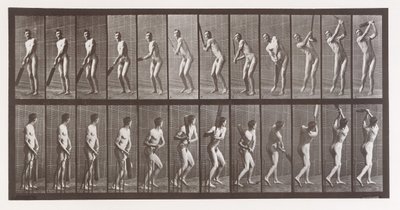 Locomotion animale. Une enquête électro-photographique sur les phases consécutives du mouvement animal - Eadweard Muybridge