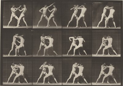 Planche numéro 340. Boxe, chaussures à main ouverte, 1887 - Eadweard Muybridge
