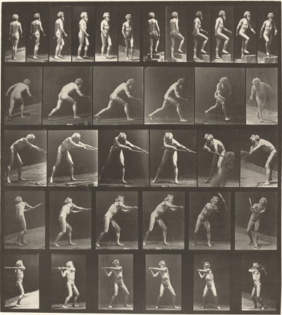 Planche Numéro 521. A : Marche. B : Montée d