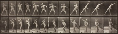 Locomotion animale, planche 319, 1887 - Eadweard Muybridge