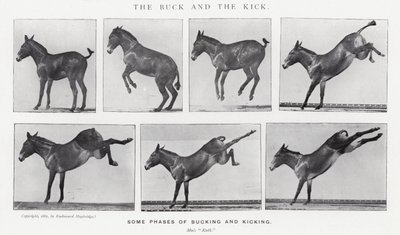 Eadweard Muybridge : Le Coup de Pied et le Saut (photo n/b) - Eadweard Muybridge