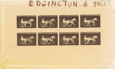 Internegatif pour chevaux. Trot. Abe Edgington. No. 28 - Eadweard Muybridge