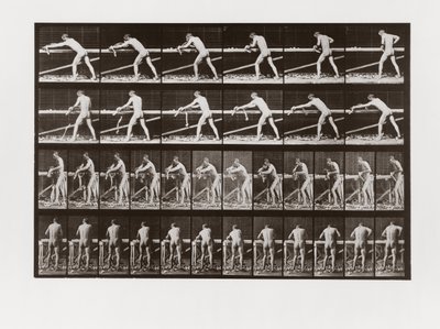 Homme rabotant du bois, Planche 379 de Animal Locomotion, 1887 - Eadweard Muybridge