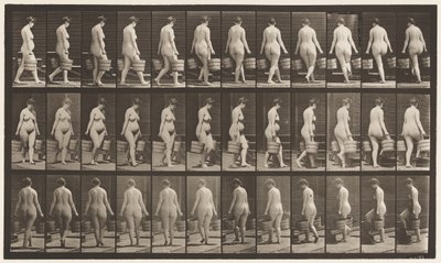 Planche 106. Tourner pour monter les escaliers, seau d