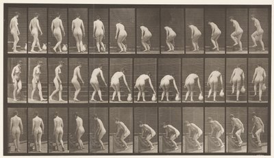 Planche 108. Tourner pour monter des escaliers, se pencher, soulever un pichet, 1872-1885 - Eadweard Muybridge