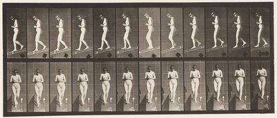 Planche 115. Descendre une pente avec les mains jointes devant - Eadweard Muybridge