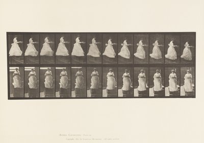 Planche 134. Descendant les Escaliers, avec un Bassin dans les Mains - Eadweard Muybridge