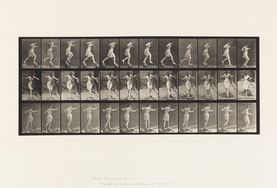Planche 175. Traversée d