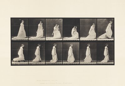 Planche 207. Courbure et levage du train, 1885 - Eadweard Muybridge