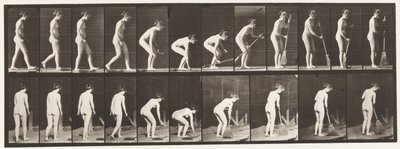 Plaque 219. Se pencher et soulever un balai et balayer - Eadweard Muybridge