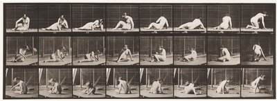 Planche 266. Se tourner et changer de position tout en restant au sol - Eadweard Muybridge