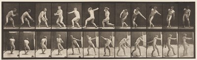 Base-ball; Attraper et Lancer, 1885 - Eadweard Muybridge