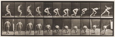 Planche 287. Base-ball; Courir et ramasser la balle - Eadweard Muybridge