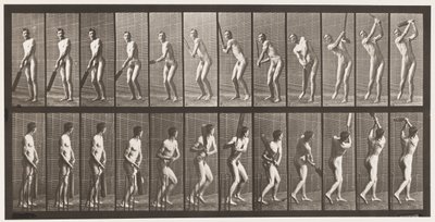 Cricket; Battre; Conduire, 1885 - Eadweard Muybridge