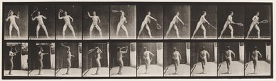 Planche 294. Tennis sur gazon; Service - Eadweard Muybridge