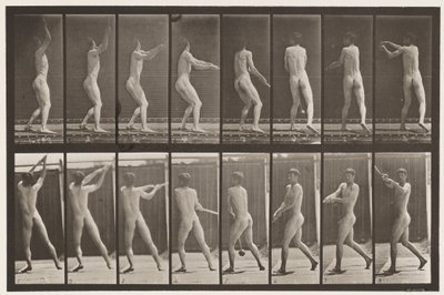 Planche 309. Lancer du marteau - Eadweard Muybridge