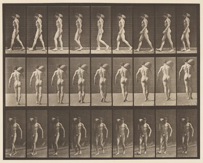 Planche 31. Marcher, portant une pierre de 75 lb sur l