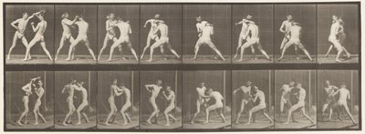 Boxe à main ouverte - Eadweard Muybridge