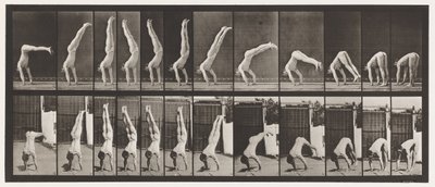 Acrobate, pression verticale - Eadweard Muybridge