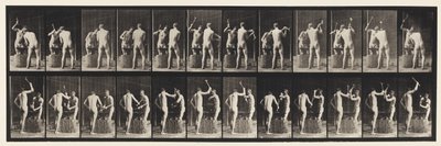 Plaque 375. Forgerons, deux modèles, martelant sur une enclume - Eadweard Muybridge