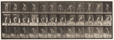 Planche 387. Fermier, utilisant une pelle à long manche - Eadweard Muybridge