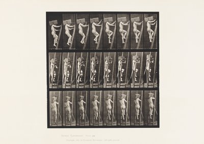 Planche 405. Transport de briques sur une échelle - Eadweard Muybridge