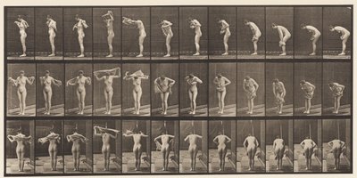 Planche 414. S