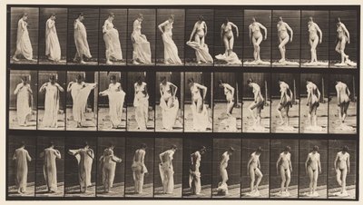 Plaque 431. Toilette; enlever des vêtements - Eadweard Muybridge