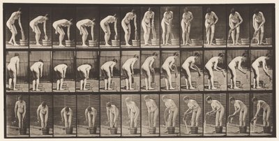 Planche 433. Tordre des vêtements - Eadweard Muybridge