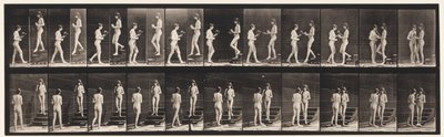 Plaque 448. Deux modèles - Eadweard Muybridge