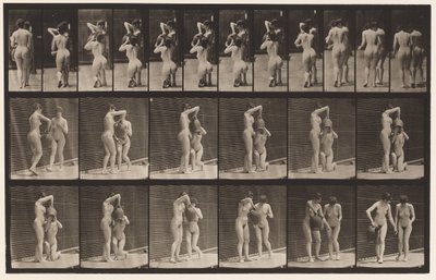 Planche 453. Deux modèles; 8 s