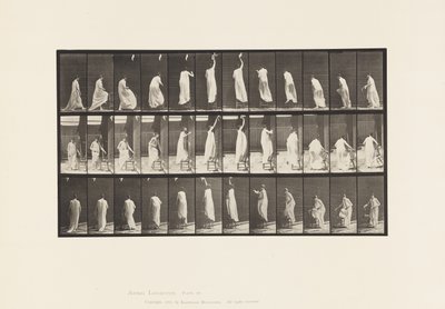 Planche 459. Montant sur une chaise, atteignant en haut et descendant, 1885 - Eadweard Muybridge