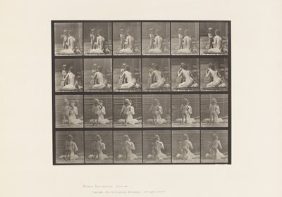 Planche 466. Deux modèles, enfant 70N, apportant un bouquet à 12, 1885 - Eadweard Muybridge
