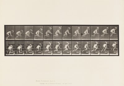 Planche 472. Enfant, rampant dans les escaliers, 1885 - Eadweard Muybridge
