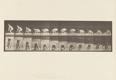 Planche 479. Enfant, se Relevant du Sol - Eadweard Muybridge