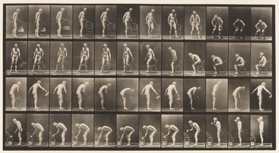 Planche 490. A, S