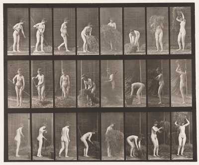 Ratisser et Emballer du Foin, 1872-1885 - Eadweard Muybridge