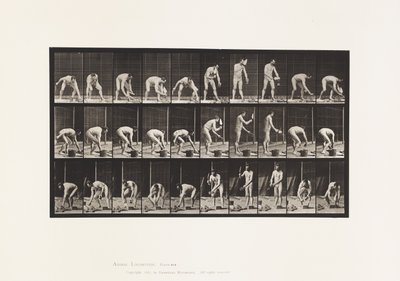 Maçonnerie - Eadweard Muybridge