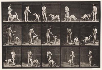 Plaque 514. Nourrissant un chien - Eadweard Muybridge