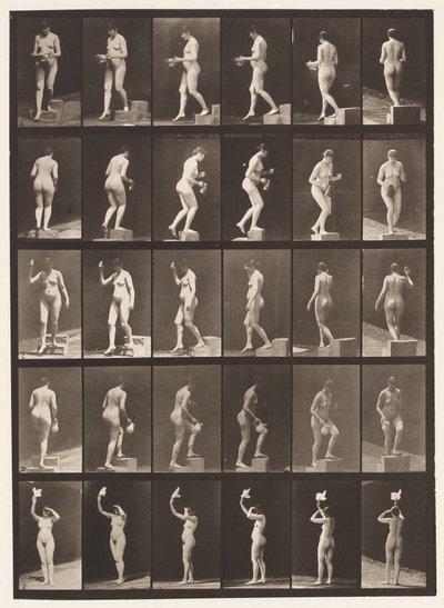 Descendre une marche; Monter une marche - Eadweard Muybridge