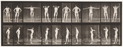 Planche 529. Diverses poses - Eadweard Muybridge